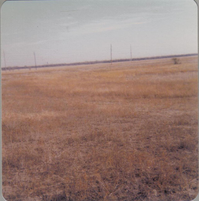 1978